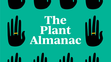 Plant Big Ups: The Plant Almanac